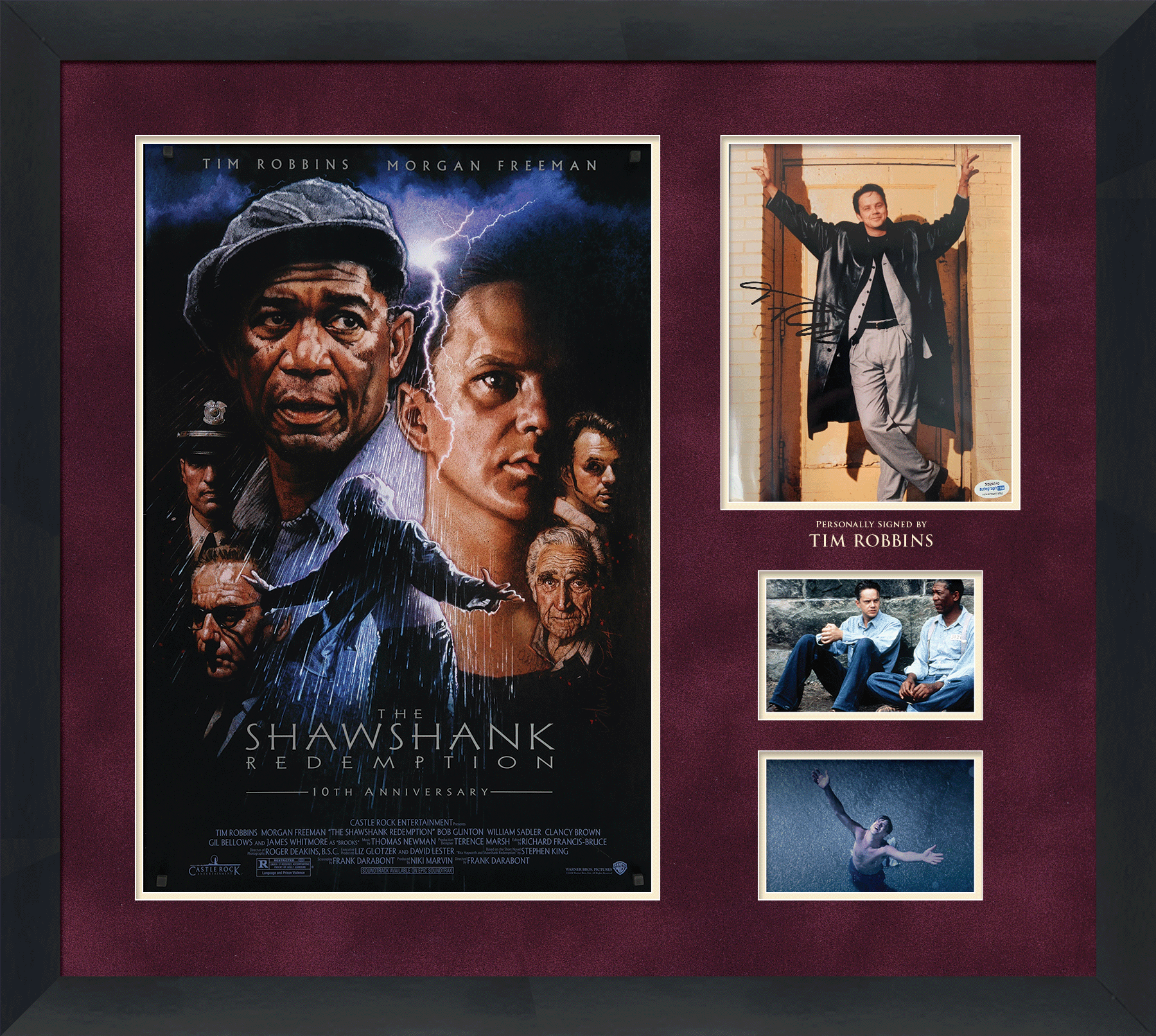 The Shawshank Redemption Photograph Framed Display Signed by Tim Robbins - Memorabilia Framers Shop